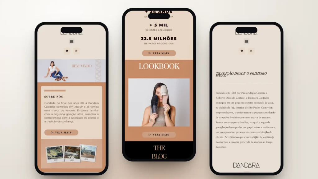 Captura do site de Dandara: Início, seção e página interna no celular